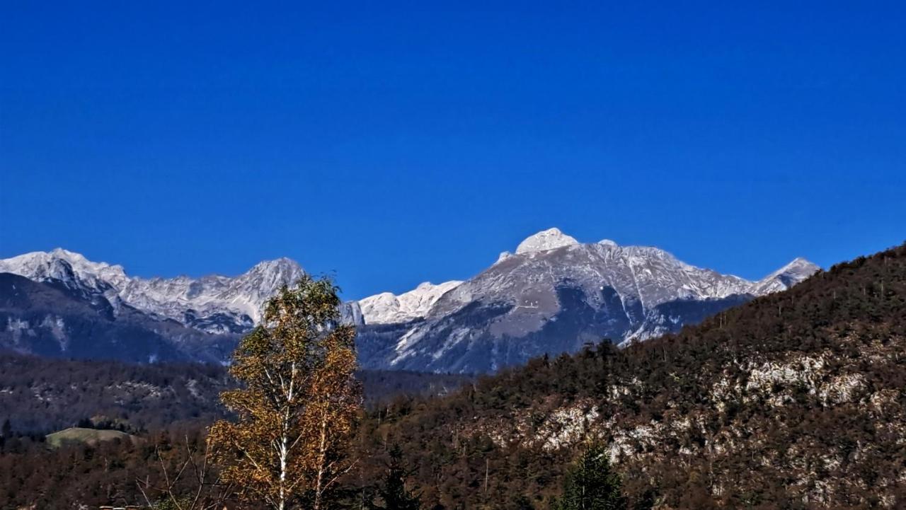 Apartmaji Alpski Cvet - Hisa Gorenc Bohinj Luaran gambar