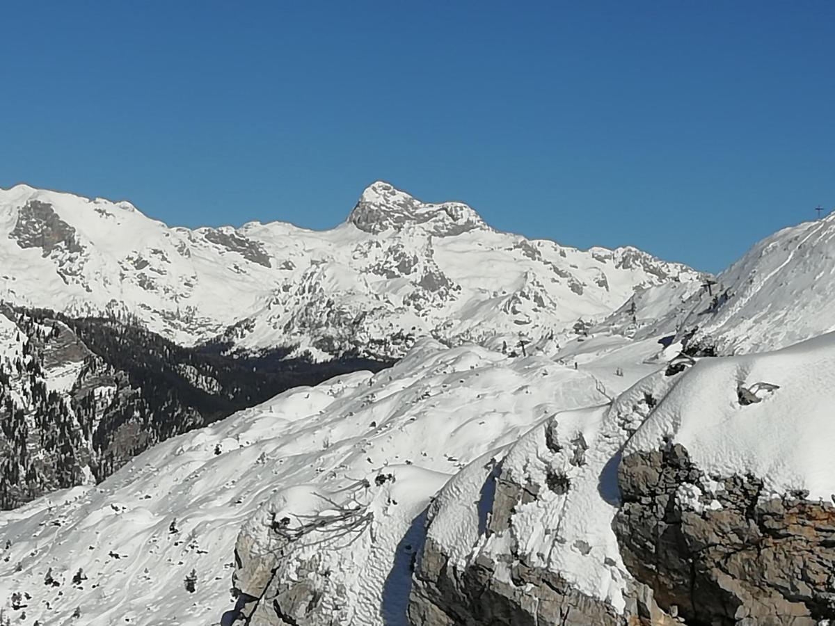Apartmaji Alpski Cvet - Hisa Gorenc Bohinj Luaran gambar