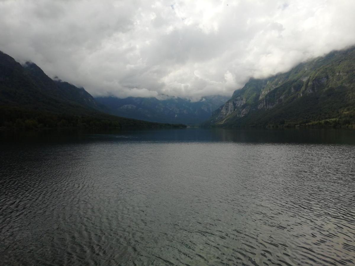 Apartmaji Alpski Cvet - Hisa Gorenc Bohinj Luaran gambar