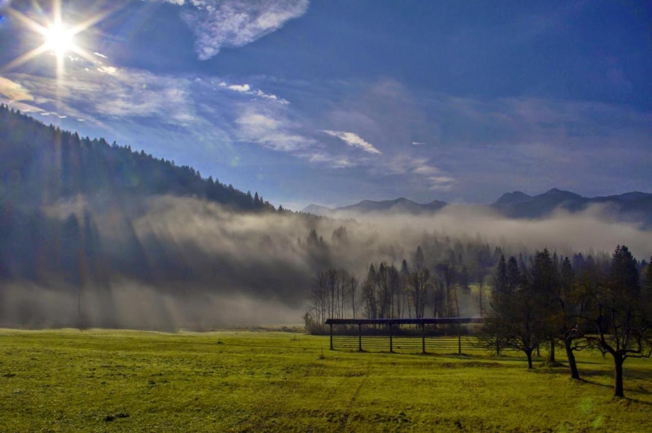 Apartmaji Alpski Cvet - Hisa Gorenc Bohinj Luaran gambar