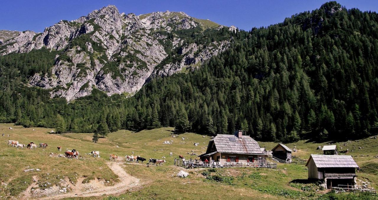 Apartmaji Alpski Cvet - Hisa Gorenc Bohinj Luaran gambar