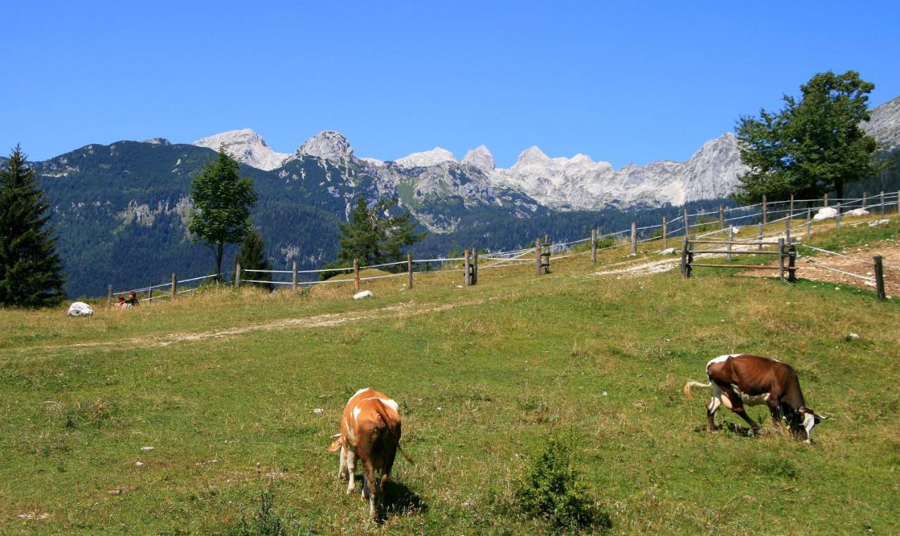 Apartmaji Alpski Cvet - Hisa Gorenc Bohinj Luaran gambar