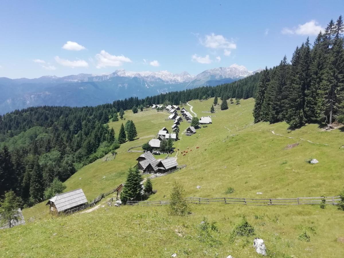 Apartmaji Alpski Cvet - Hisa Gorenc Bohinj Luaran gambar