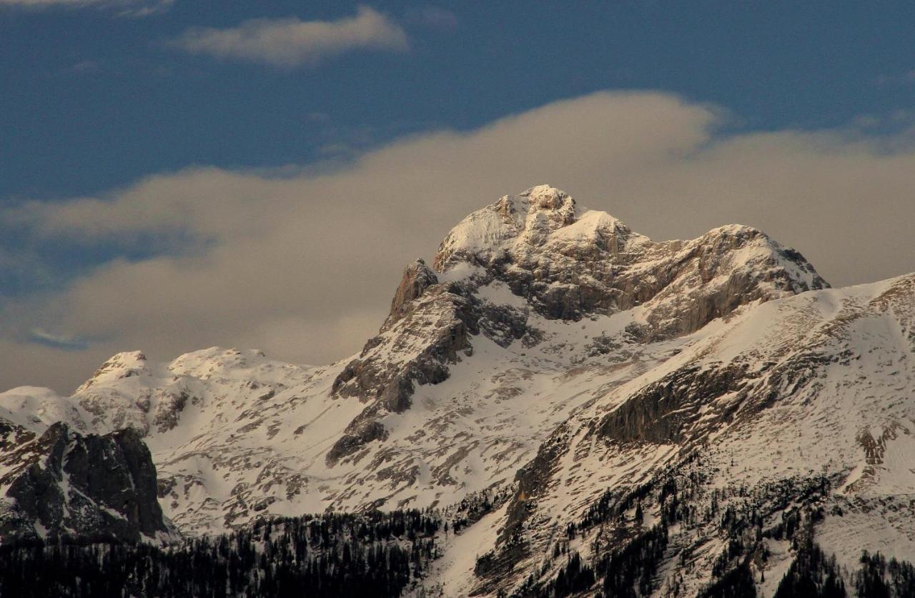 Apartmaji Alpski Cvet - Hisa Gorenc Bohinj Luaran gambar